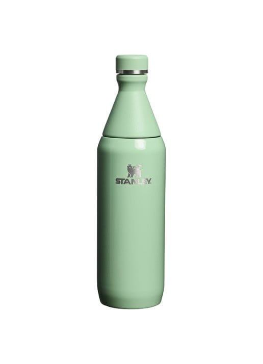 Stanley The All Day Slim waterfles 0,6 liter