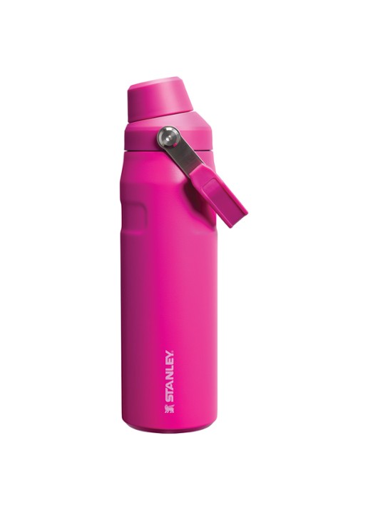 Stanley The Ice Flow Fast Flow waterfles 0,7 liter