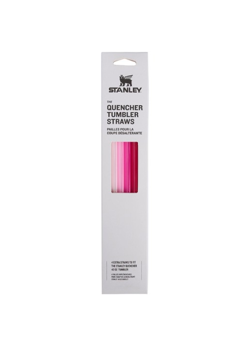 Stanley The Quencher rietje set van 4