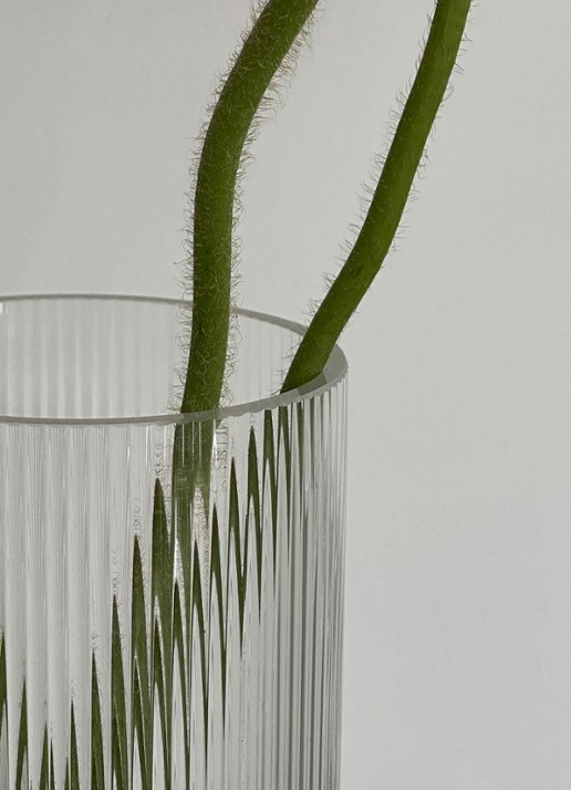 Stelton Pilastro vaas 21 cm - detail 2 transparant