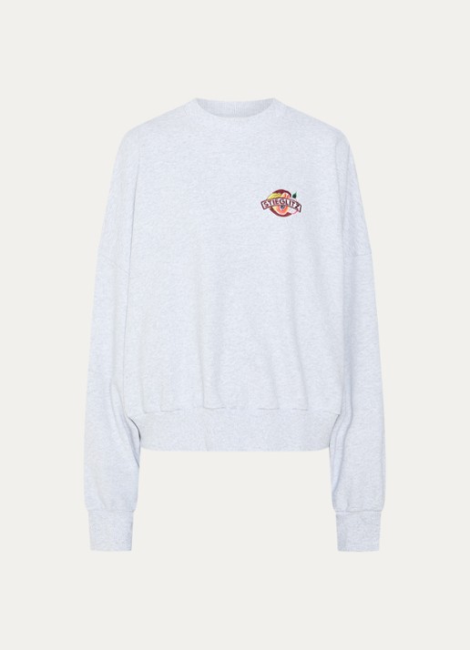 Stieglitz Cindy Oversized sweater met print - voorkant 3 grijs