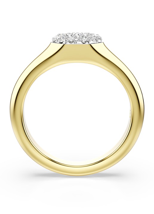 Swarovski Dextera ring verguld 50 - detail 4 goud