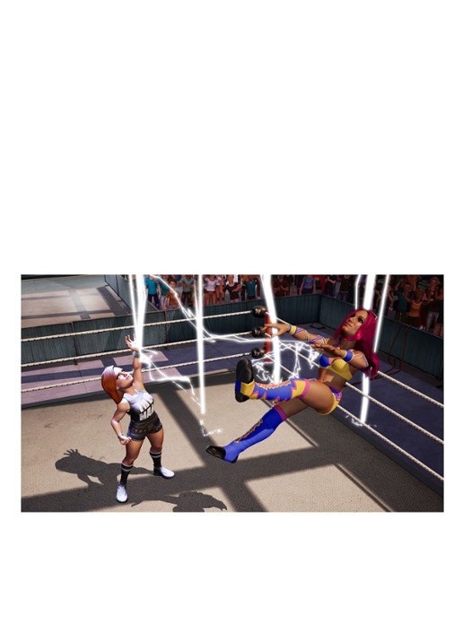 Take-Two WWE 2K Battlegrounds Game - PS4 - voorkant 2 undefined