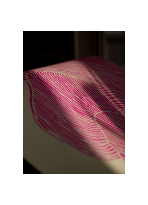 THE POSTER CLUB Rebecca Hein, The Line - Pink print - detail 3 roze