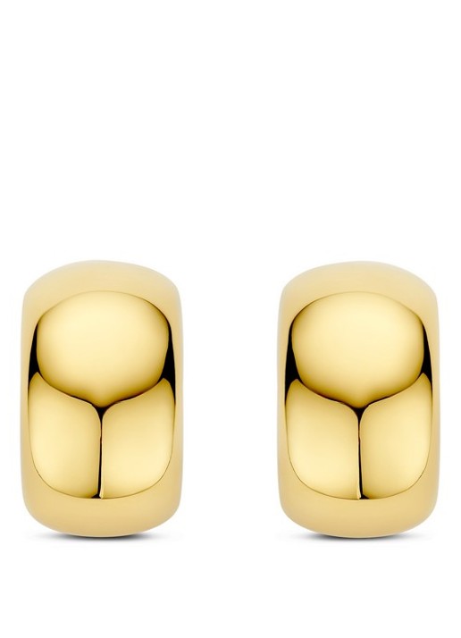 TI SENTO - Milano Oorstekers verguld 78048SY - detail goud