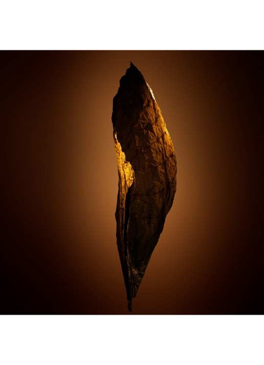 TOM FORD Tobacco Chocolat Eau de Parfum - detail 5 undefined