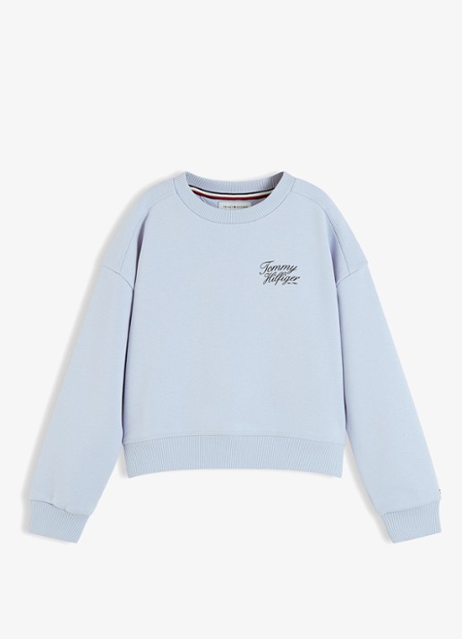 Tommy Hilfiger Sweater met logo