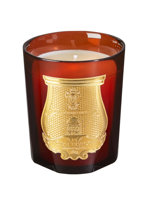 Trudon Beewax Absolute geurkaars