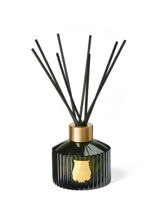 Trudon Ernesto geurstokjes 350 ml