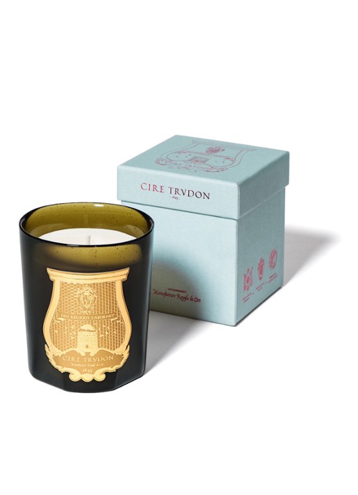 Trudon Gabriel geurkaars 270 gram - detail 3 olijfgroen