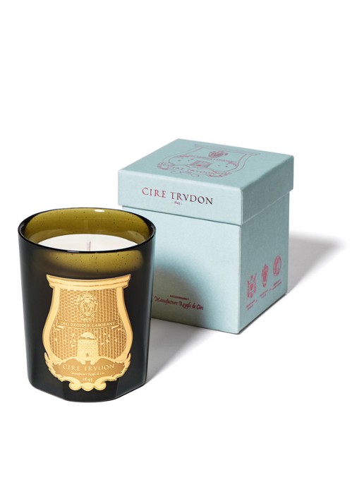 Trudon Spiritus Sancti geurkaars - detail olijfgroen