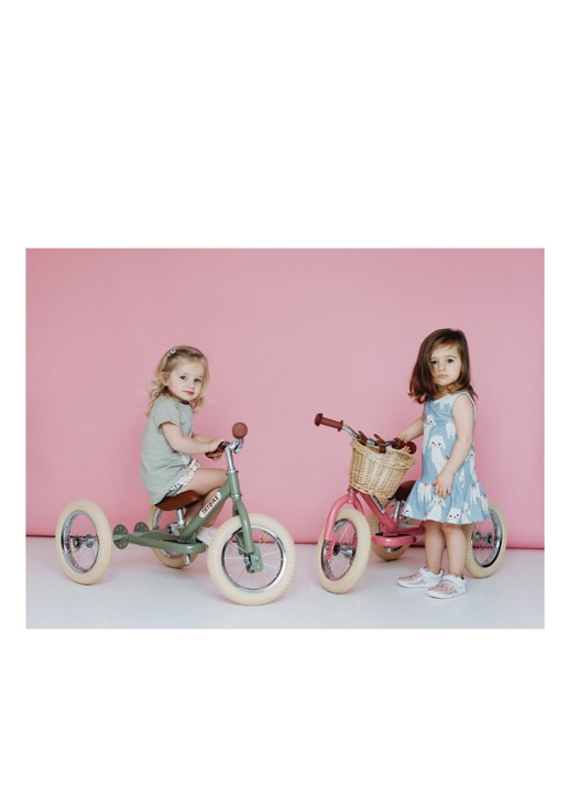 Trybike 2-in-1 loopfiets van staal - detail 4 roze