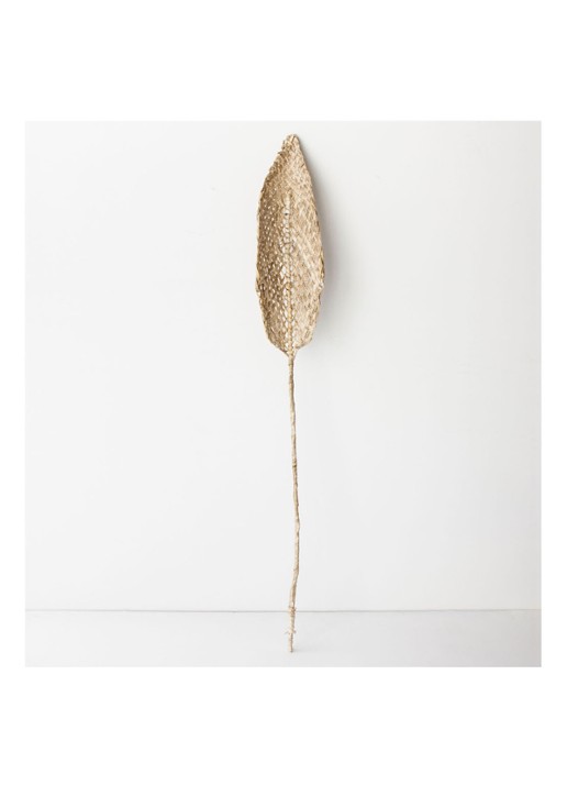 Urban Nature Culture Planta de Praia decoratieblad  80 cm - voorkant 2 beige