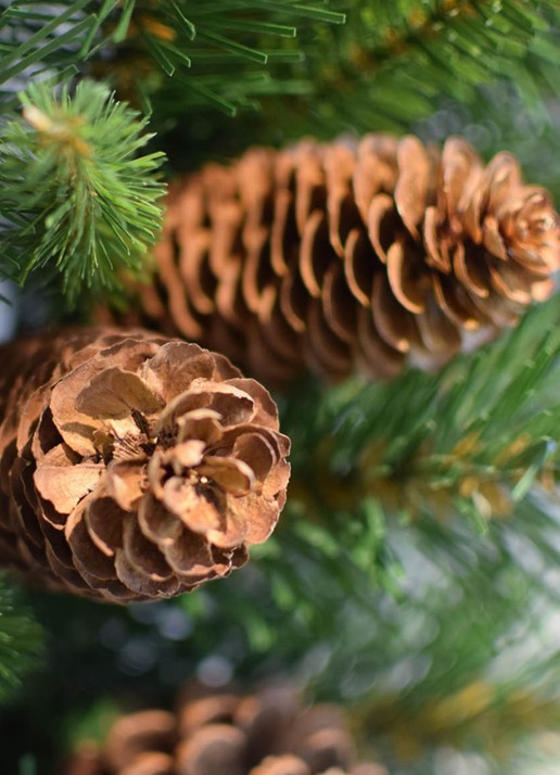 Van Der Gucht Pine Cone kerstkrans 50 cm - voorkant 2 groen