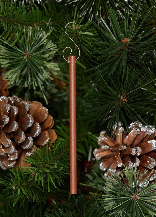 Van Der Gucht Spiced Pine Cones geurstokjes set van 6 - achterkant groen