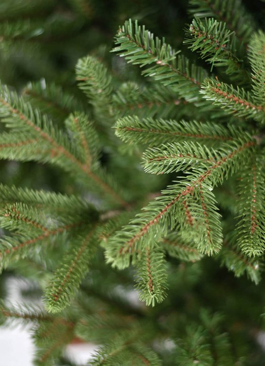 Van Der Gucht Vermont kunstkerstboom 213 cm - voorkant 3 groen