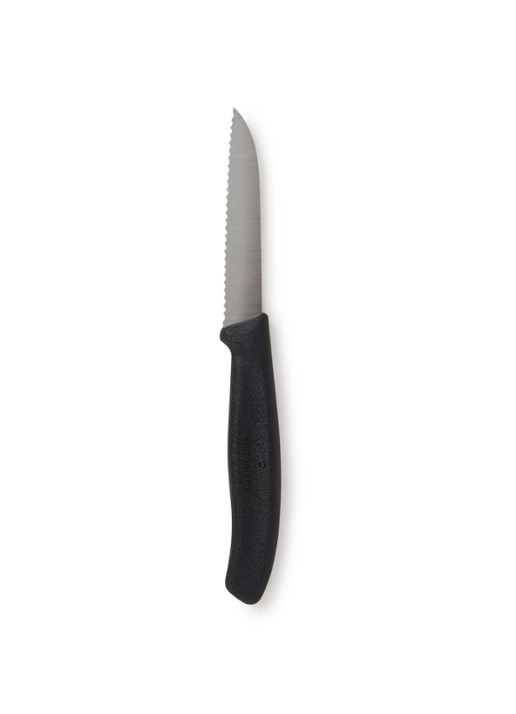 Victorinox Swiss Classic schilmesje 19 cm
