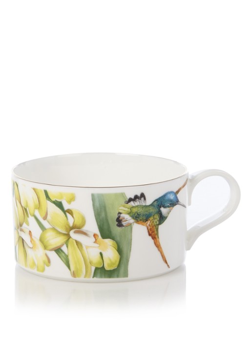 Villeroy & Boch Amazonia kopje 23 cl