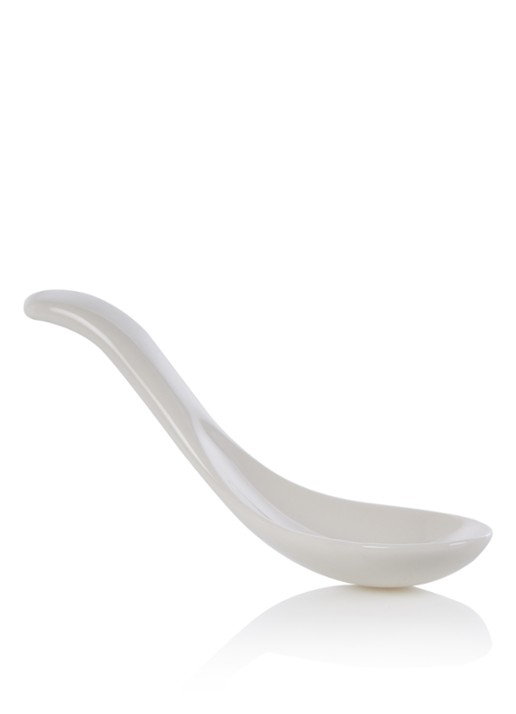Villeroy & Boch Soup Passion Asia lepel set van 2