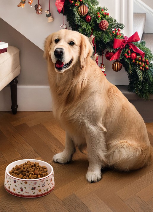 Villeroy & Boch Toy's Delight voerbak voor hond 19,6 cm - detail 2 rood