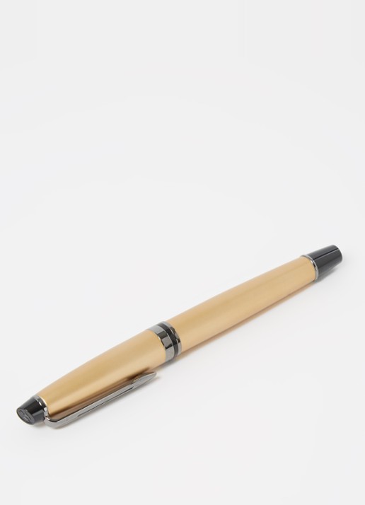 Waterman Vulpen Waterman Expert Rt M Me - detail goud