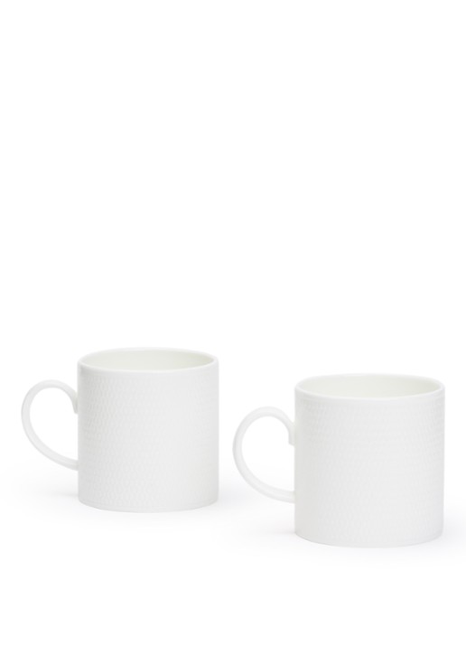 Wedgwood Gio kopje 29,3 cl set van 2