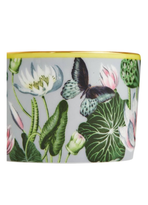 Wedgwood Waterlily Tcup & Scr Bxd - detail 3 lichtgroen