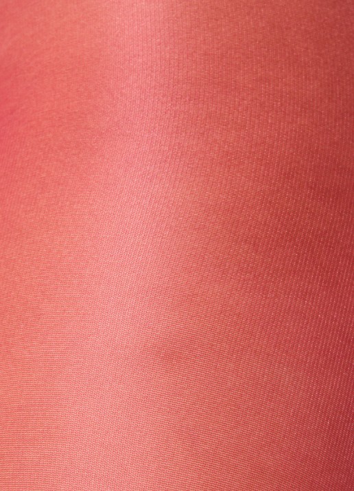 Wolford Satin Touch panty in 20 denier - detail 3 cranberryrood