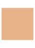 Luminous Silk Concealer - 5
