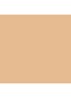 Skin Foundation Stick - 2 Sand