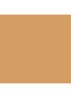 Skin Foundation Stick - 4.75 Golden Natural