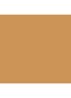 Skin Foundation Stick - 5.75 Golden Honey
