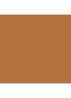 Skin Foundation Stick - C-066 Cool Honey