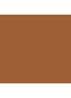 Skin Foundation Stick - C-076 Cool Golden