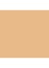 Skin Foundation Stick - N-030 Neutral Sand