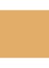 Skin Foundation Stick - W-048 Golden Beige