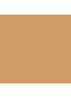 Skin Foundation Stick - 5.5 Warm Honey