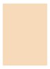 Skin Full Cover Concealer  - WARM IVORY