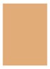 Skin Full Cover Concealer  - NATURAL TAN