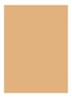Skin Full Cover Concealer  - WARM NATURAL