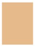 Skin Full Cover Concealer  - HONEY