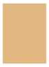 Skin Full Cover Concealer  - WARM HONEY