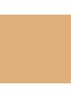 Skin Perfect Concealer Stick - Natural