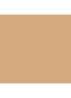 Skin Perfect Concealer Stick - Natural Tan