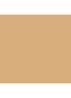 Skin Perfect Concealer Stick - Warm Natural