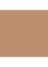 Skin Perfect Concealer Stick - Golden