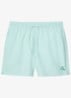Zwemshorts met logo en trekkoord - Mint