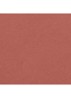 LIMITED EDITION – DE STRALENDE FLUWEELACHTIGE LIPPENSTIFT  - 479 CRUSH