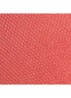 POEDERBLUSH - 430 FOSCHIA ROSA