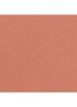 STRALENDE FLUWEELACHTIGE LIPPENSTIFT - 60 INTEMPORELLE